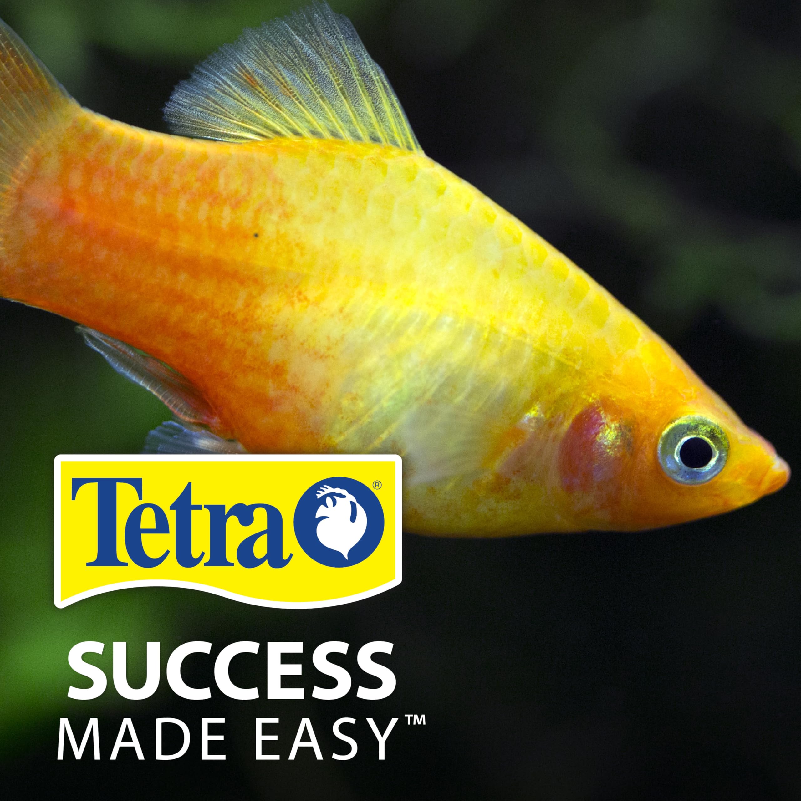 TetraPro envase junto a un acuario en sala, aporta color y vida al entorno doméstico