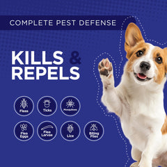 Perro grande recibiendo aplicación de TevraPet Activate II para control externo