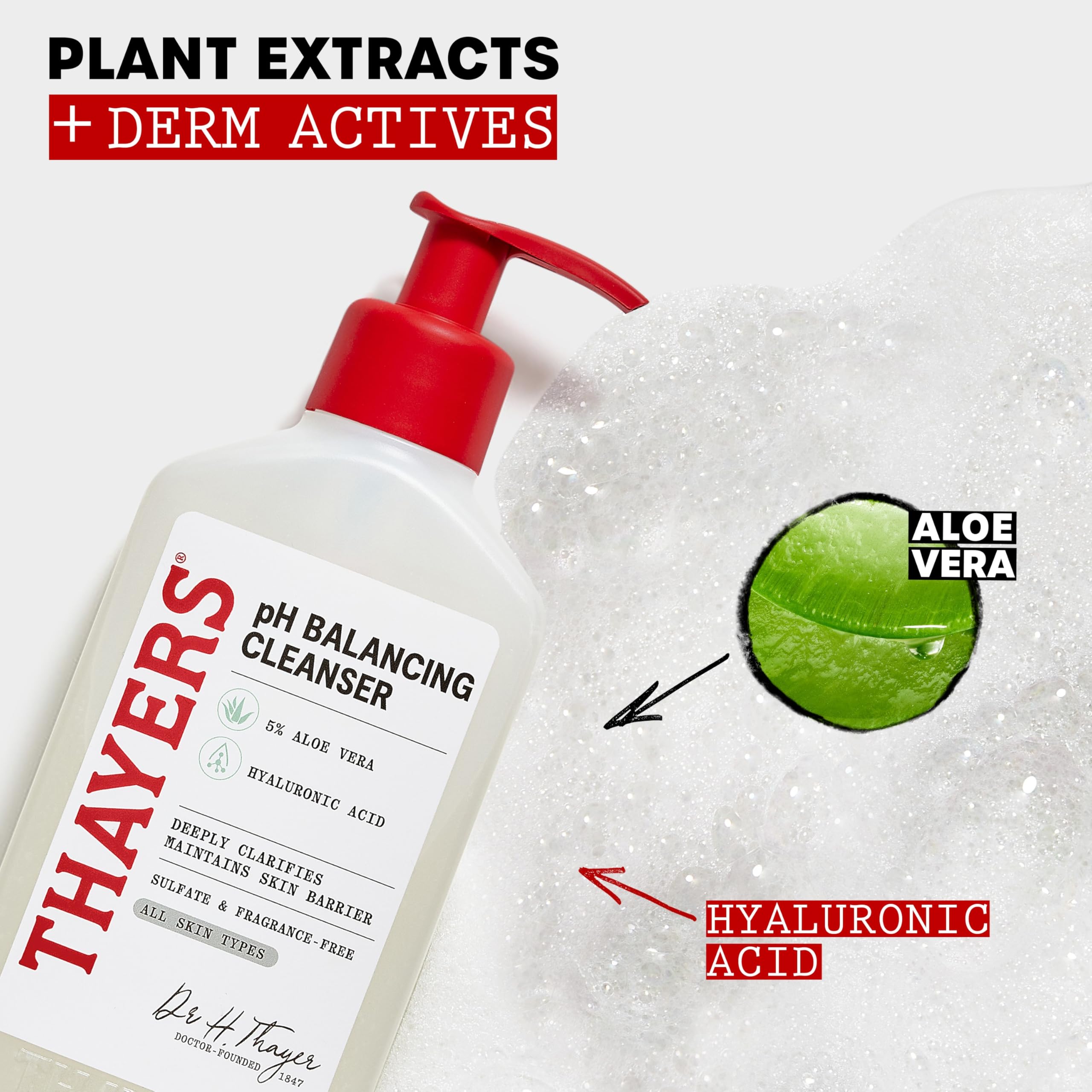 THAYERS botella al lado de objetos cotidianos para referencia de tamaño