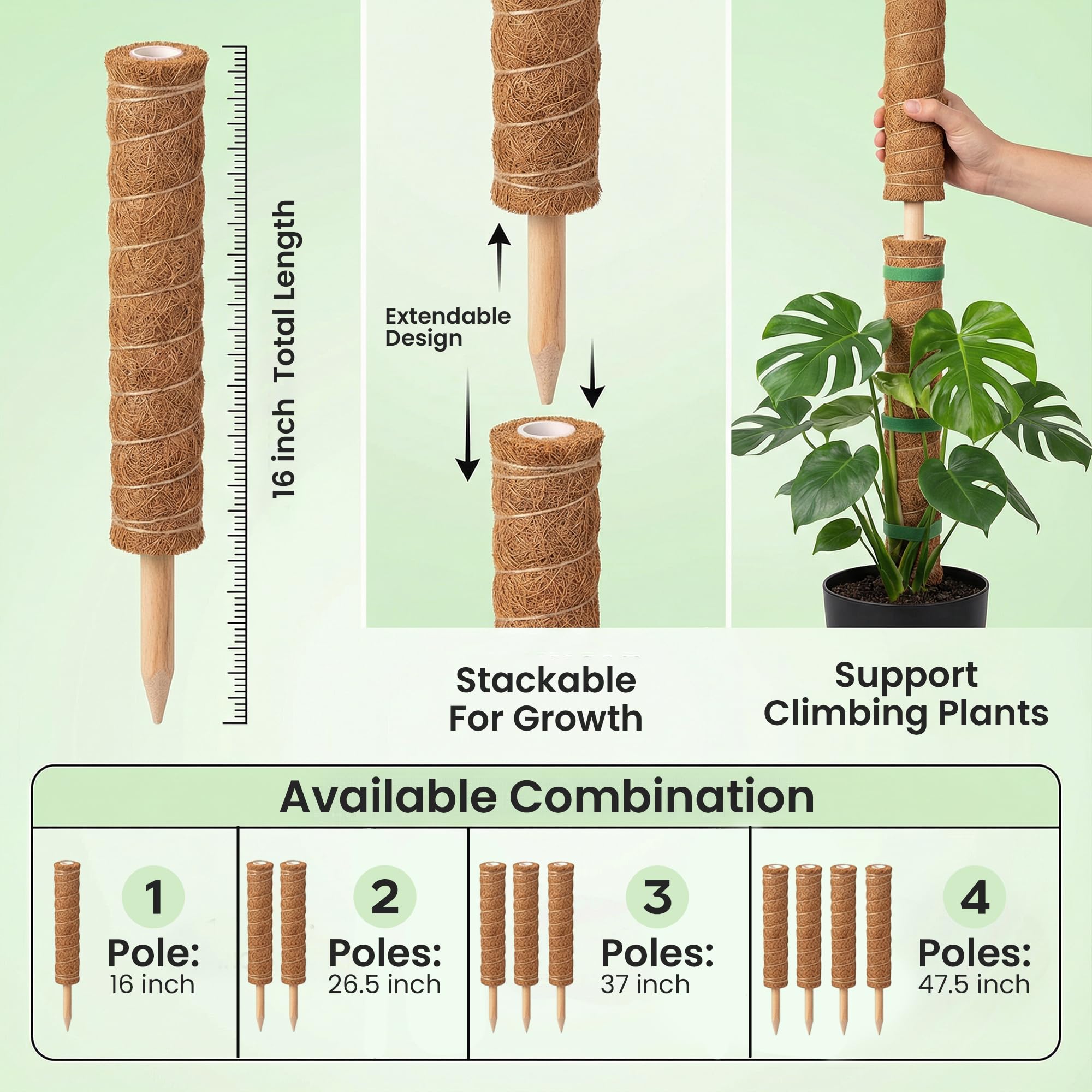 The Blooming Jungle postes apilados hasta 48 pulgadas mostrando altura ajustable