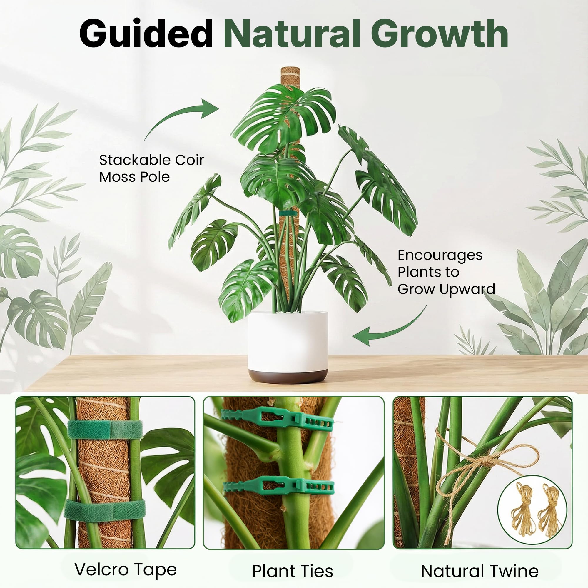 The Blooming Jungle etiqueta con instrucciones claras facilitando montaje y cuidado