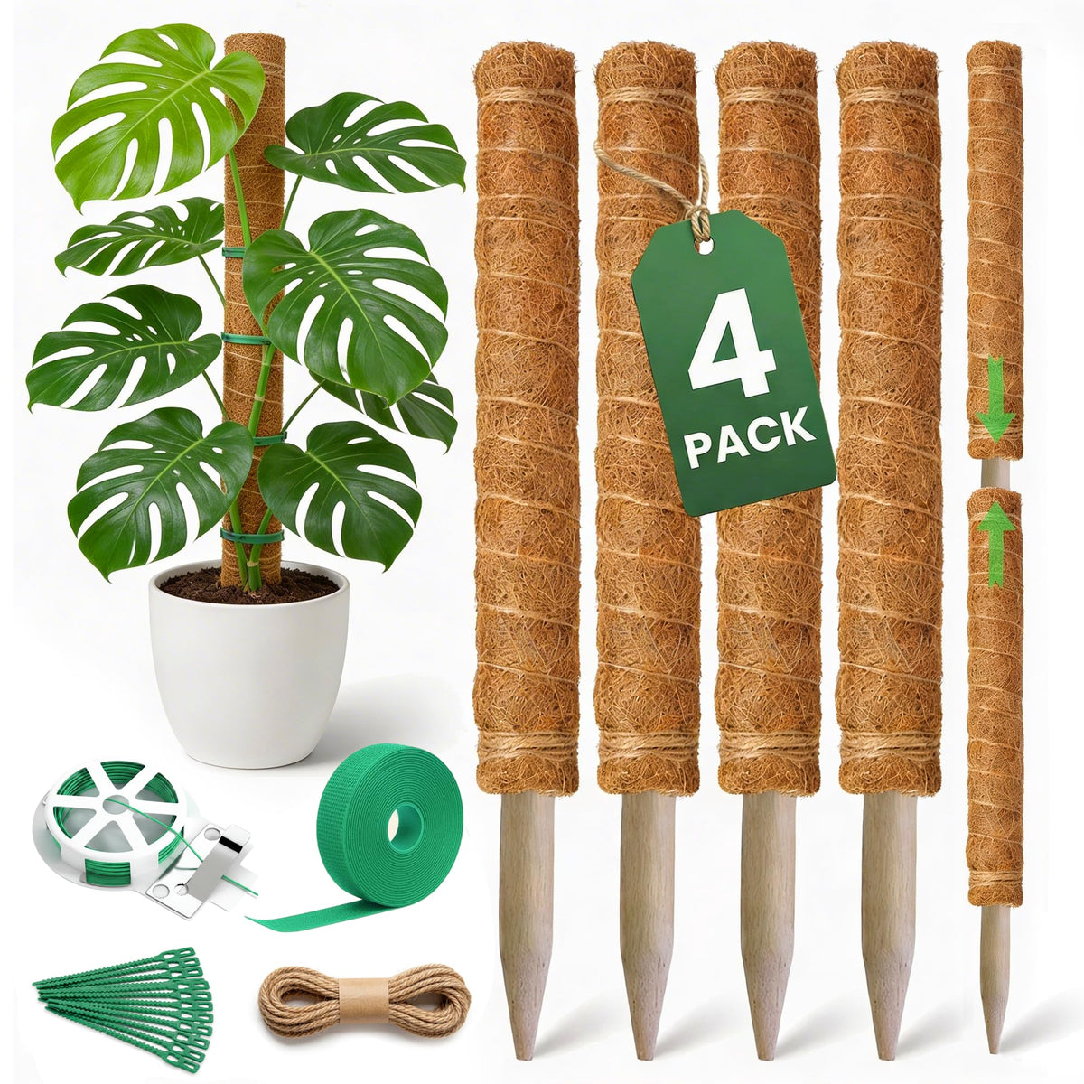 The Blooming Jungle paquete frontal mostrando cuatro postes y accesorios, soporte profesional