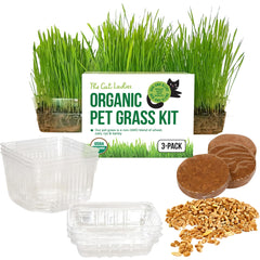 The Cat Ladies frente del kit mostrando componentes, comodidad para cultivar