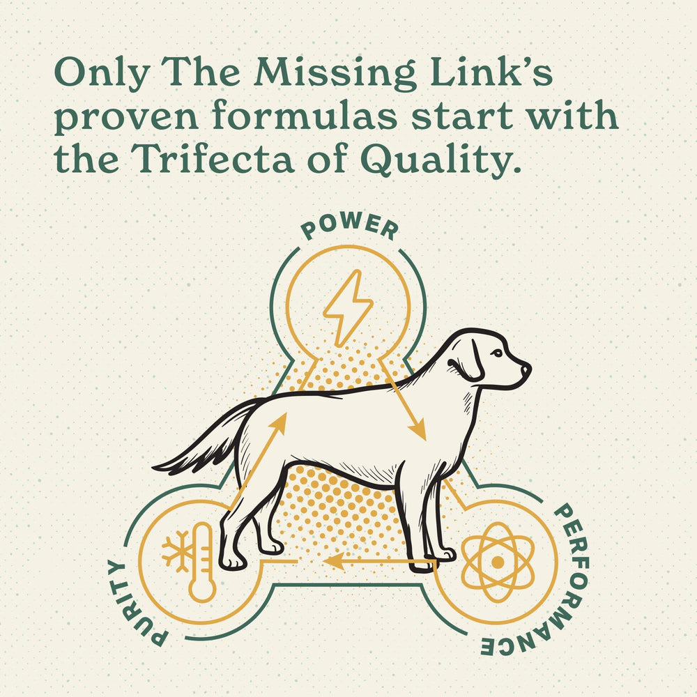 The Missing Link primer plano de probióticos LactoSpore beneficios digestivos
