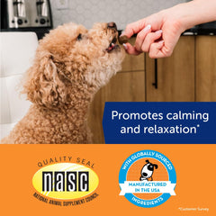 ThunderBites masticable en mano para ver tamaño y dosificación práctica