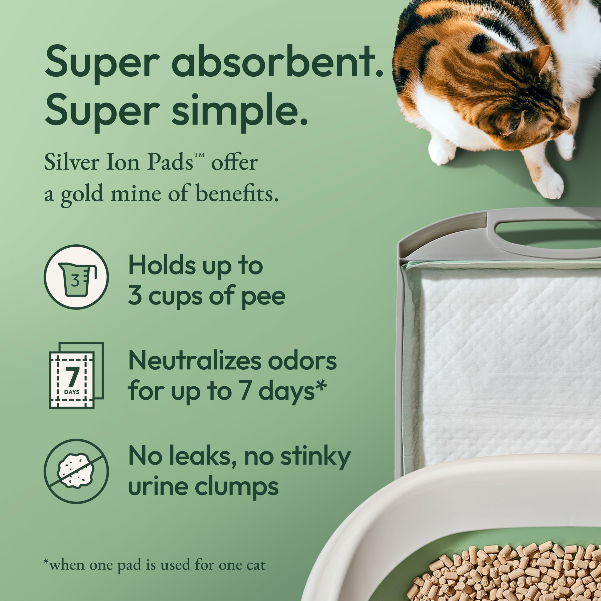 Purina Tidy Cats recambio junto a una regla para comparar tamaño