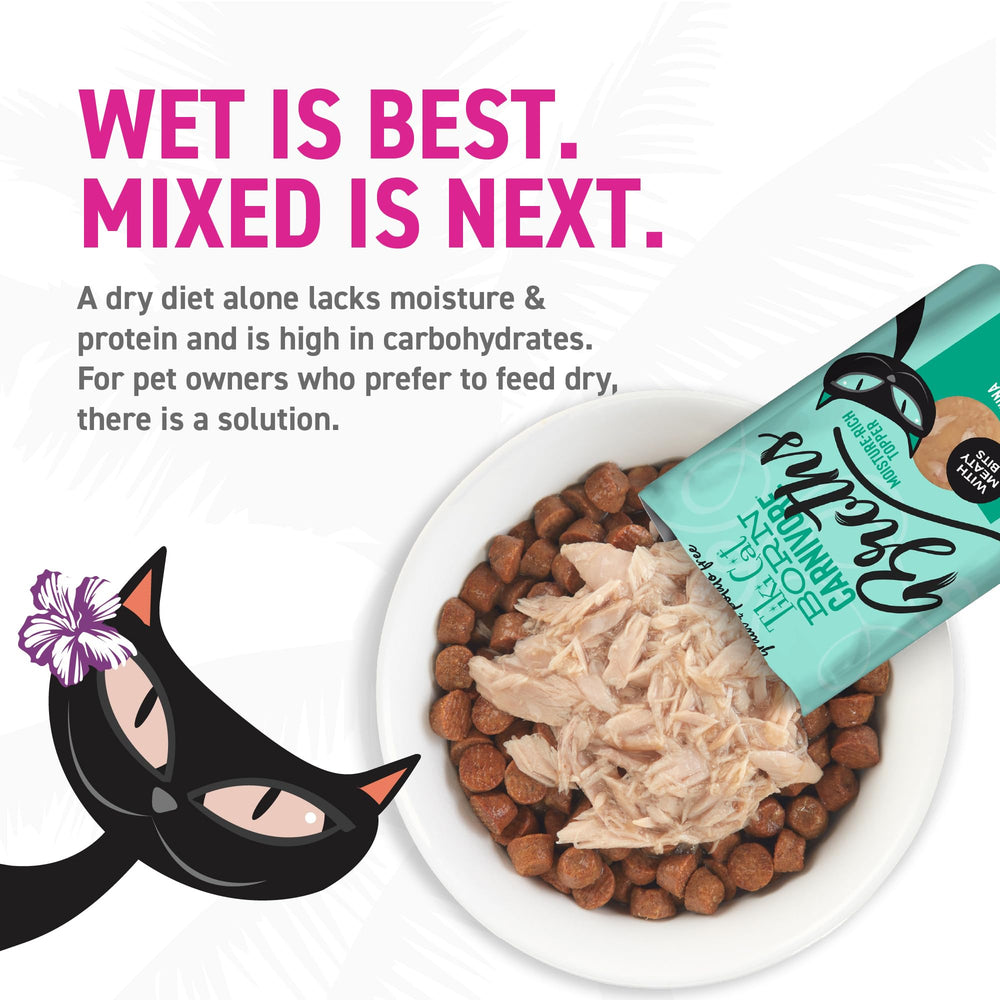 TIKI PETS gato lamiendo el caldo sumando interés y sabor