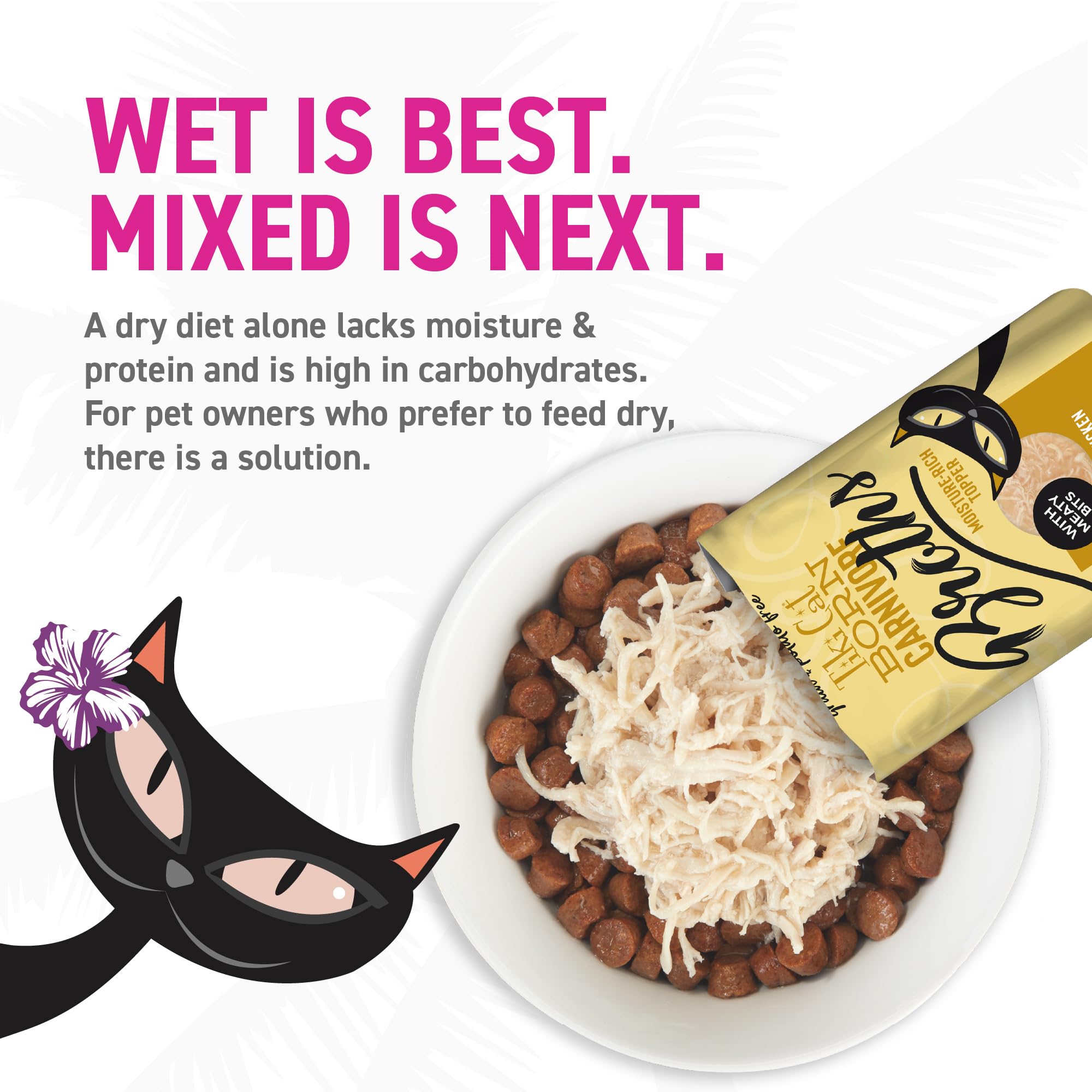 TIKI PETS gato lamiendo el caldo como premio apetitoso