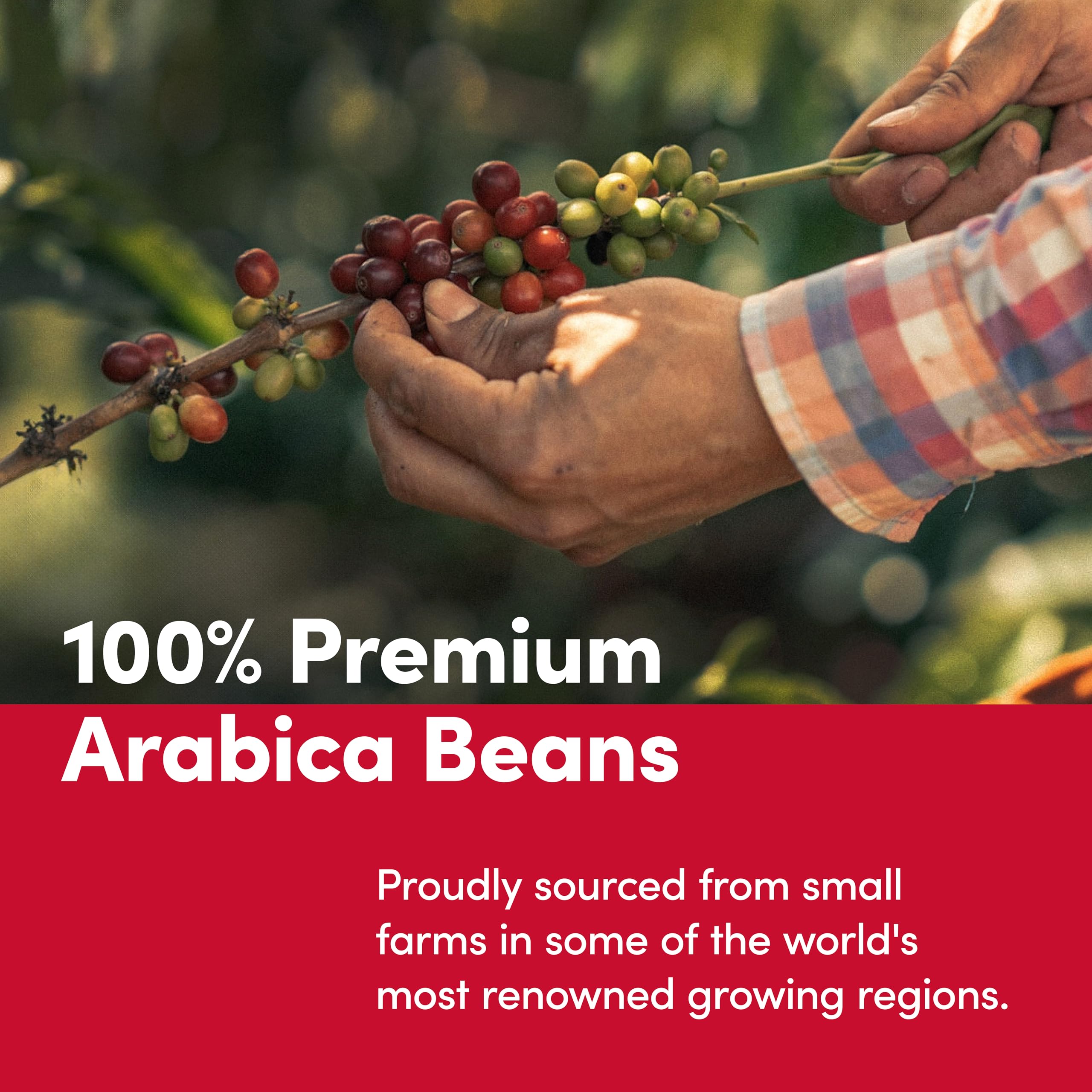 Tim Hortons lata abierta con café molido preservando aroma
