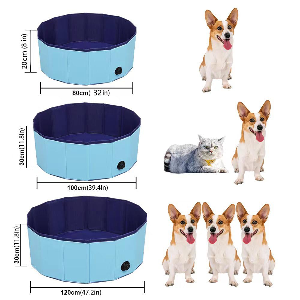 TMbsfatn perro disfrutando dentro de la piscina para juegos seguros