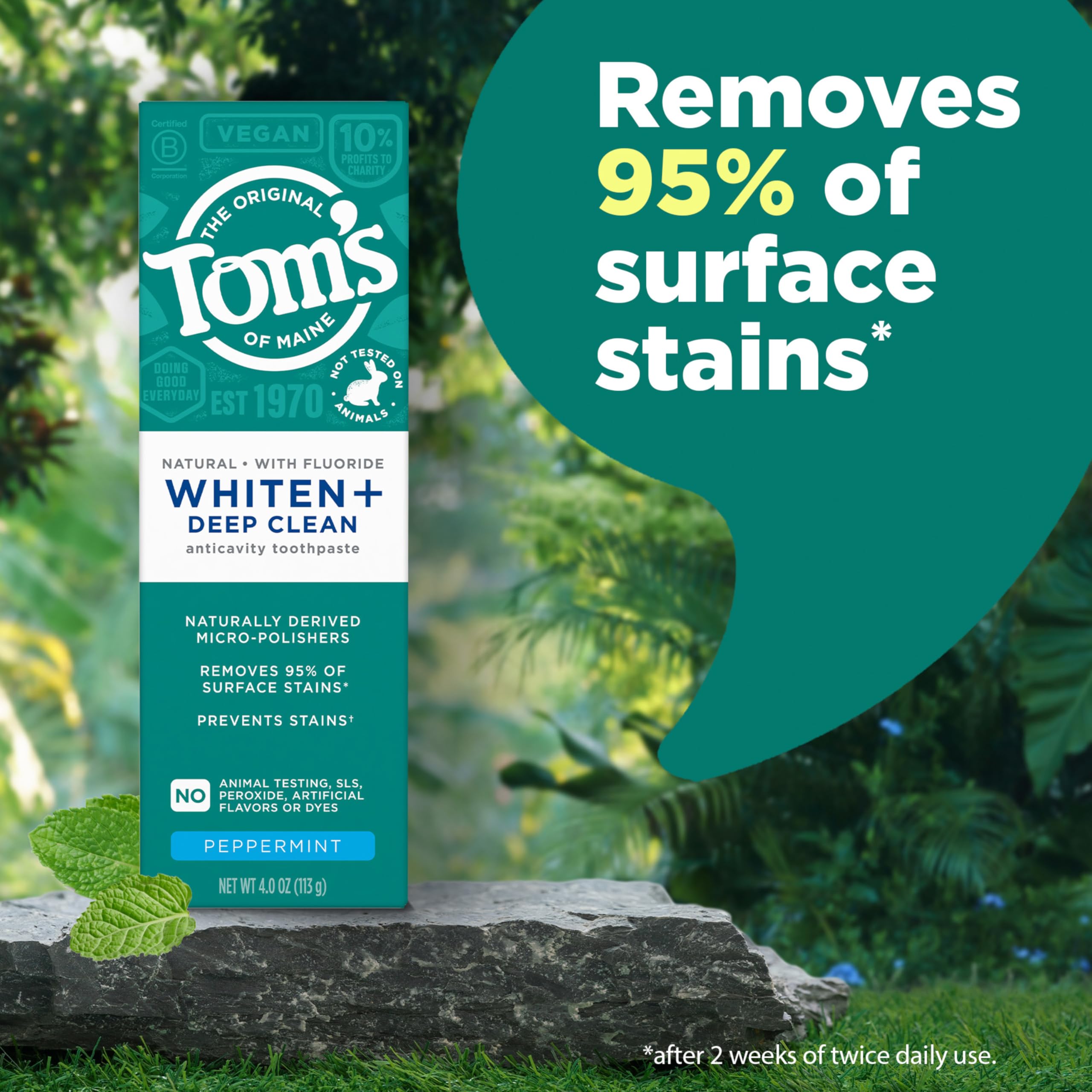 Tom's of Maine tubo abierto con dentífrico dispensado para visualización de uso