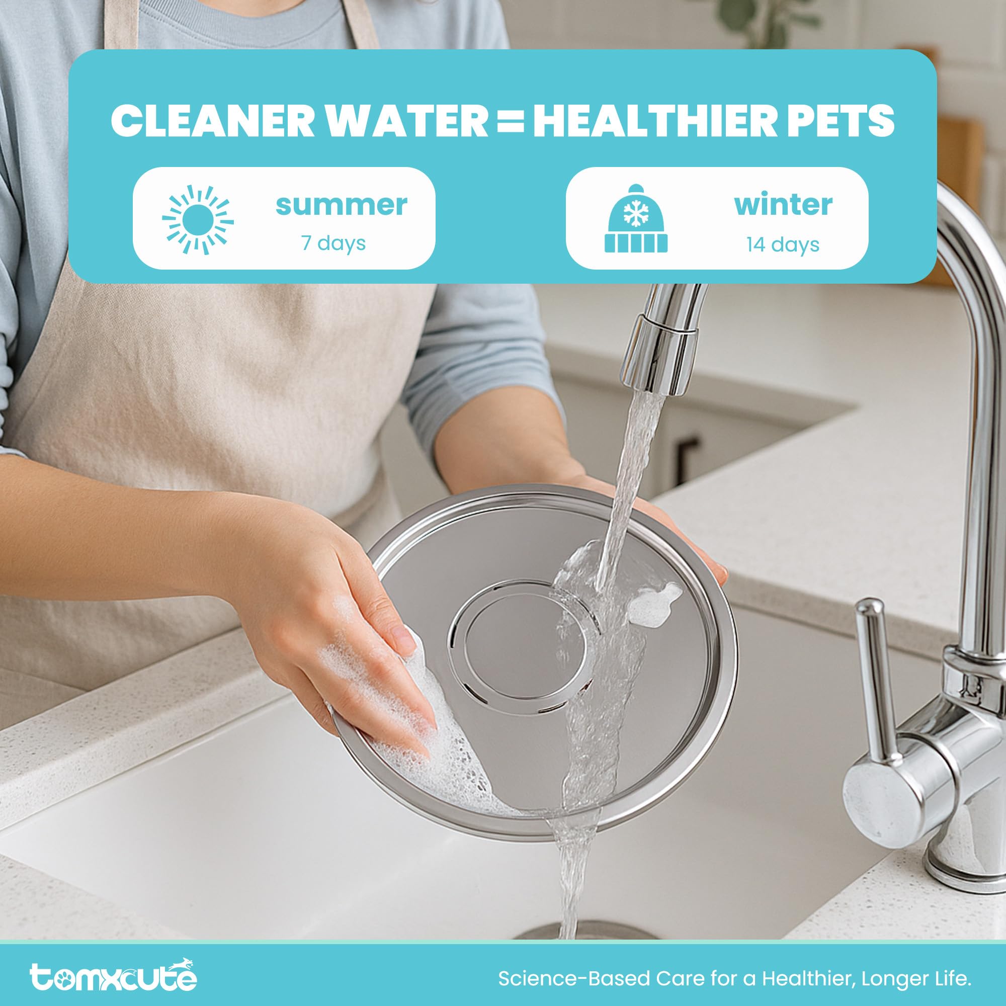 tomxcute fuente en cocina con gato bebiendo, fomenta hidratación natural