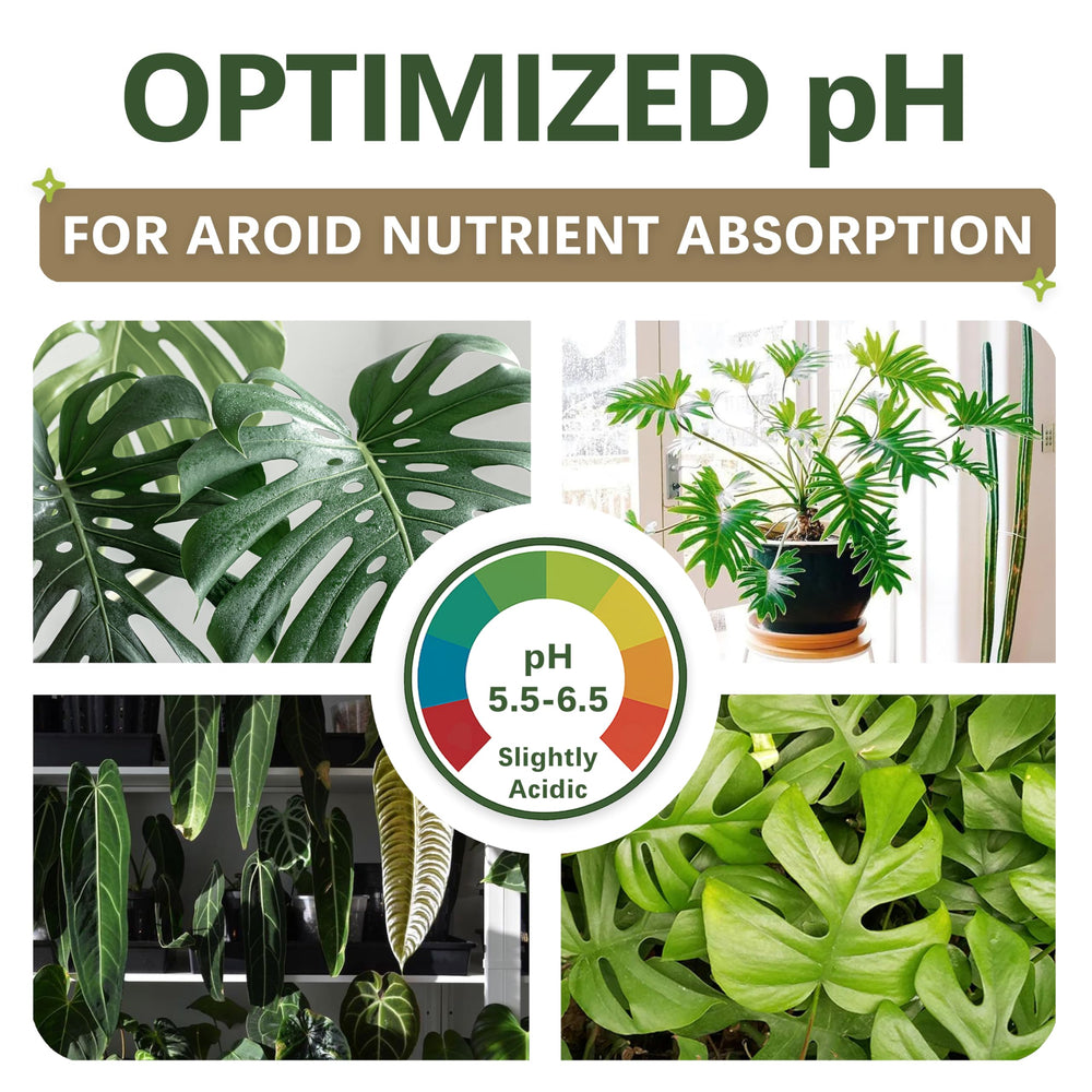 Top Tier Genetics corteza y pumice del sustrato AROID mostrando estructura aireada