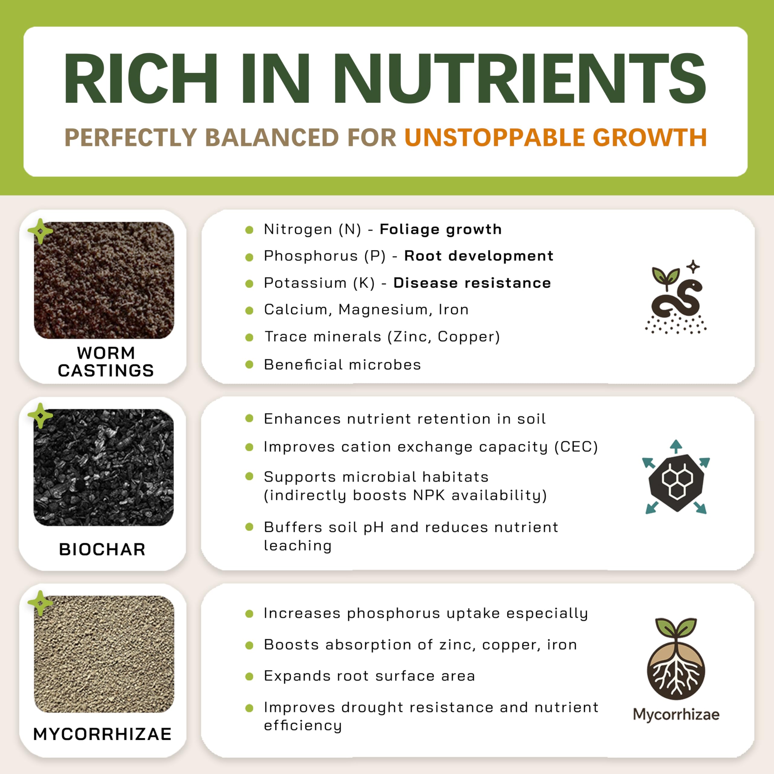 Top Tier Genetics sustrato AROID en maceta con Monstera, promueve raíces sanas