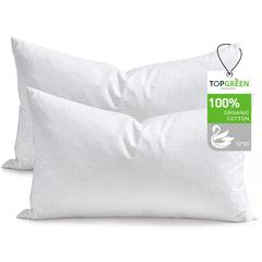 TOPGREEN vista frontal del pack de 2 rellenos, añade soporte decorativo