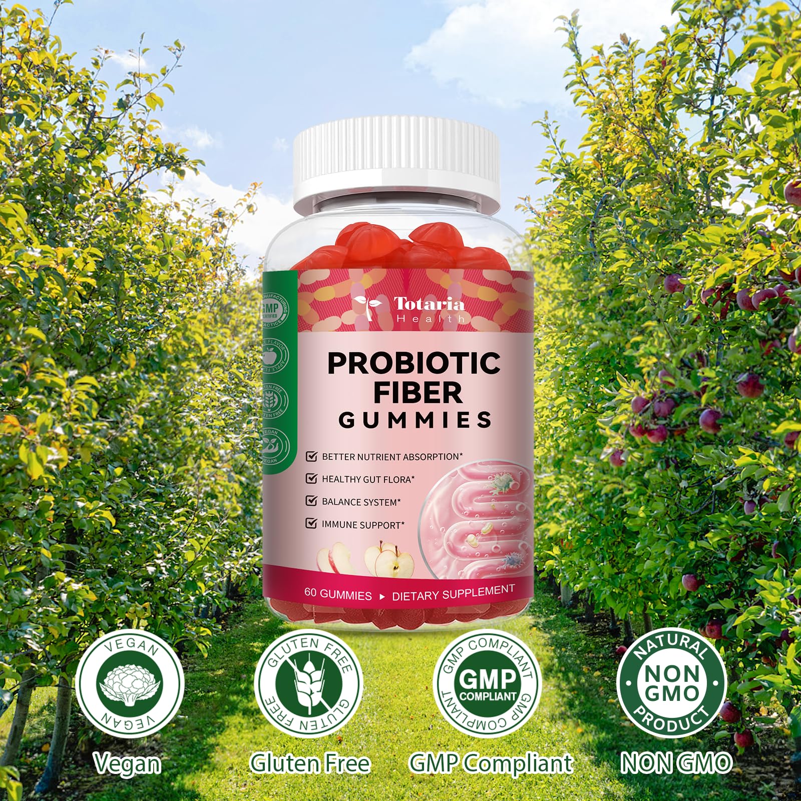 Totaria ingredientes clave psyllium y chía destacando aporte nutritivo