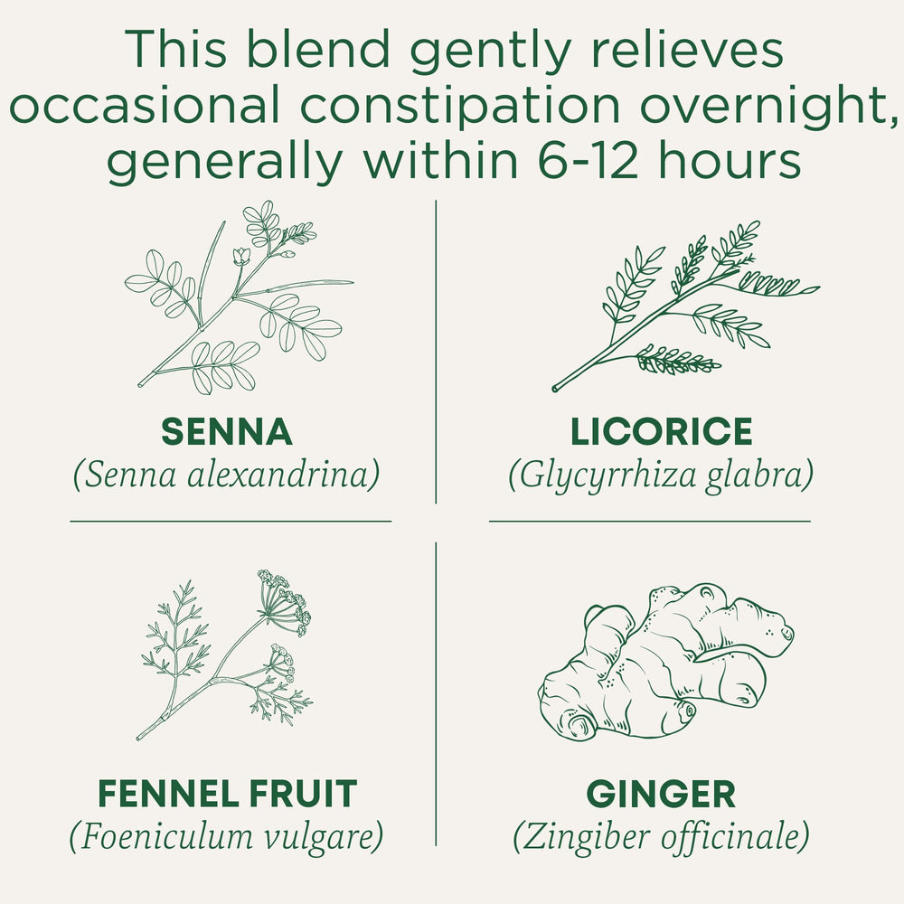Traditional Medicinals bolsita tomada de cerca, infusión lista y cómoda