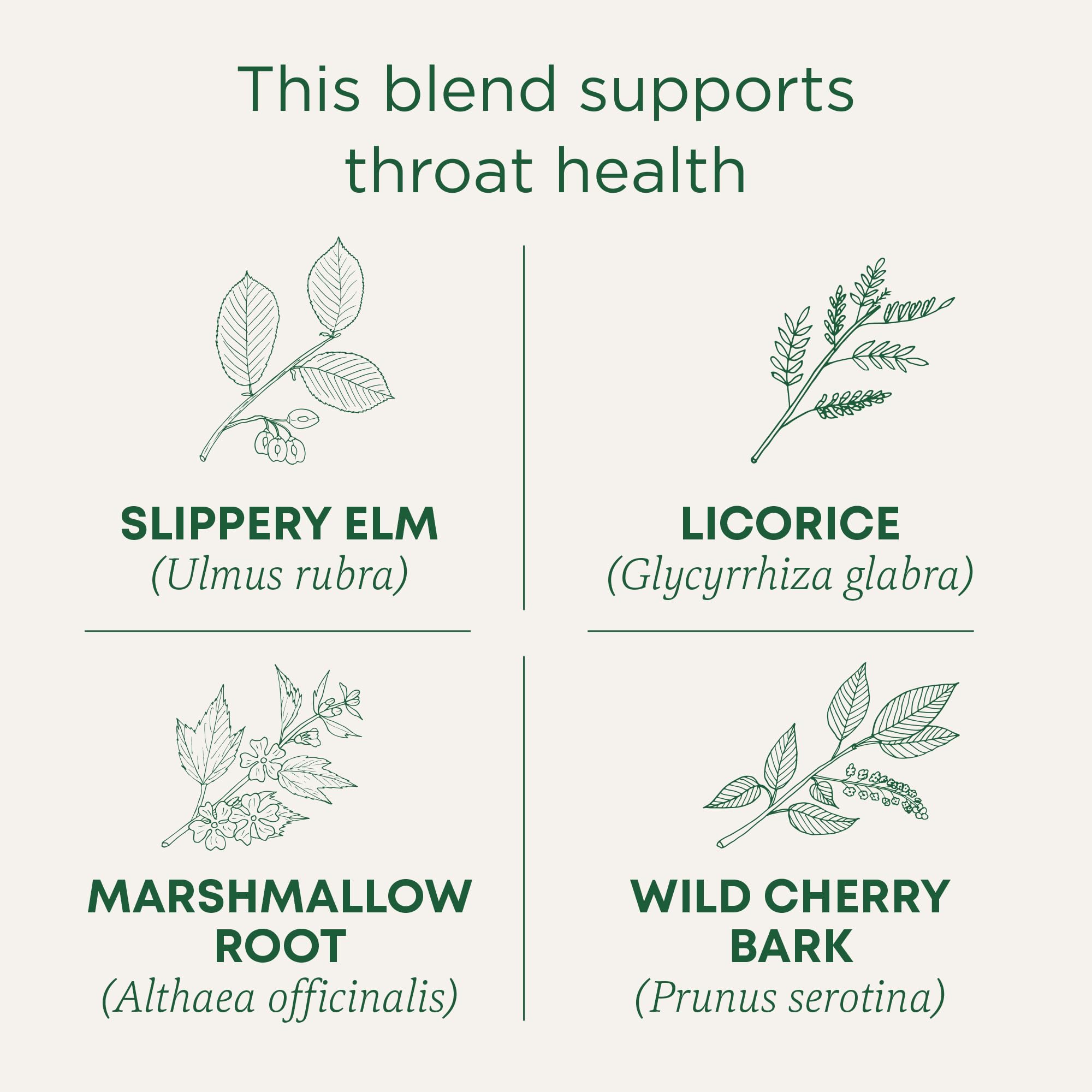 Traditional Medicinals corteza de slippery elm y raíz de regaliz mostrando origen sostenible