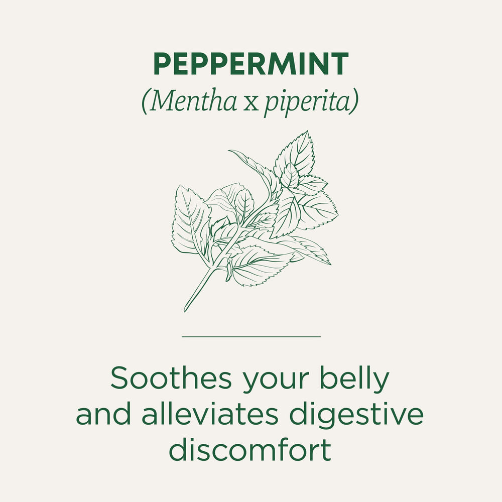 Traditional Medicinals taza de té lista para beber, sabor menta refrescante