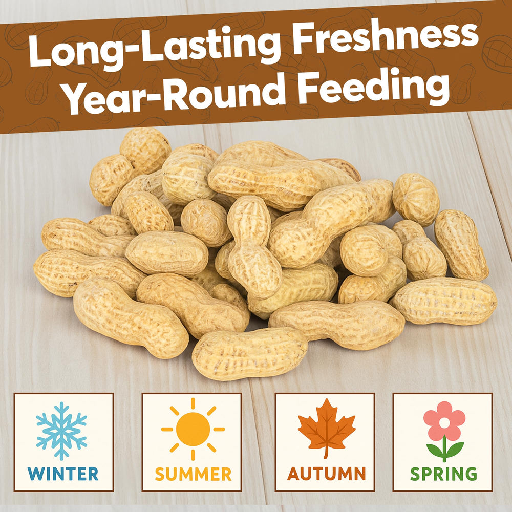 TRAILMARK NATURALS hand holding a peanut to show size and scale benefit for feeders