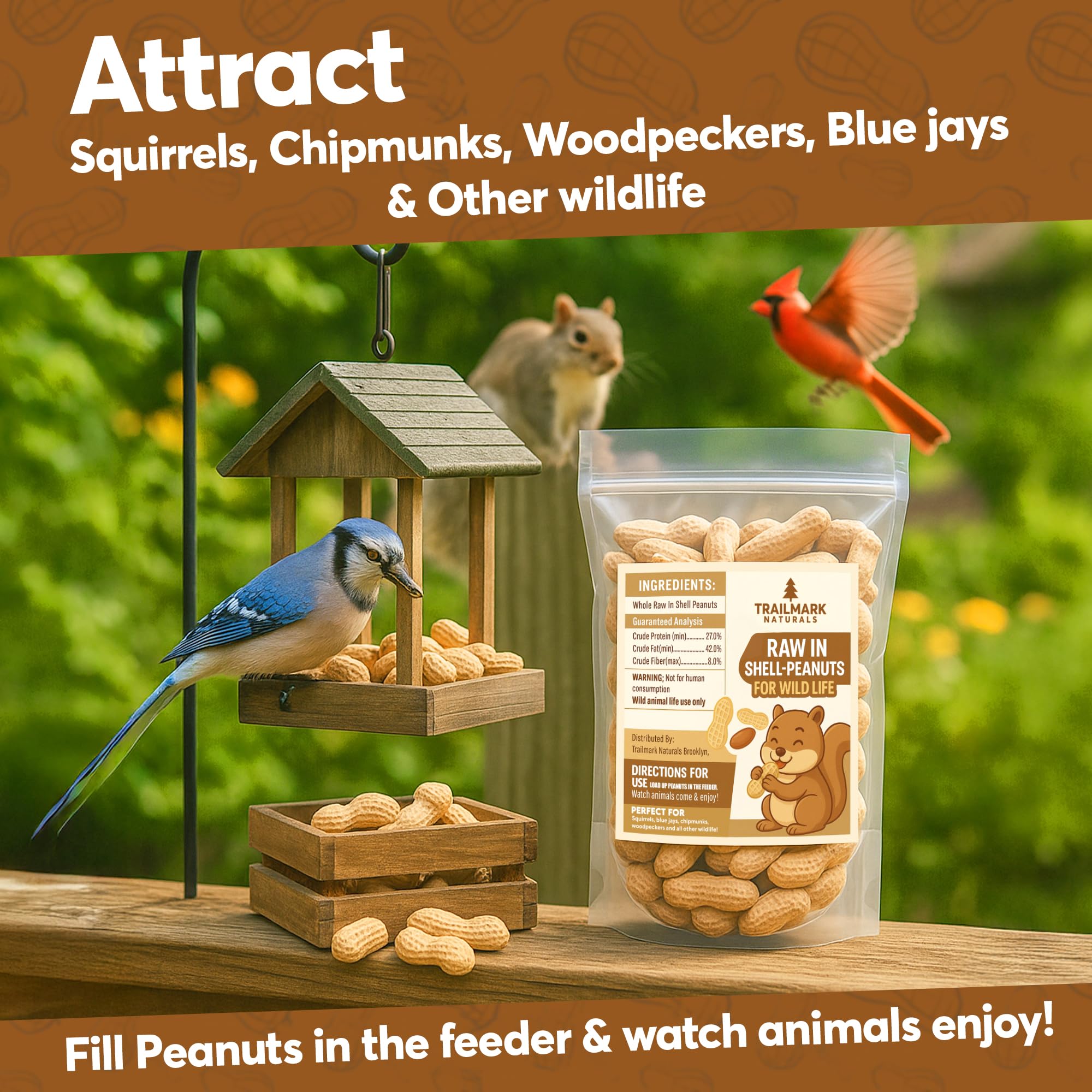 TRAILMARK NATURALS squirrel cracking a peanut shell showing natural foraging behavior benefit