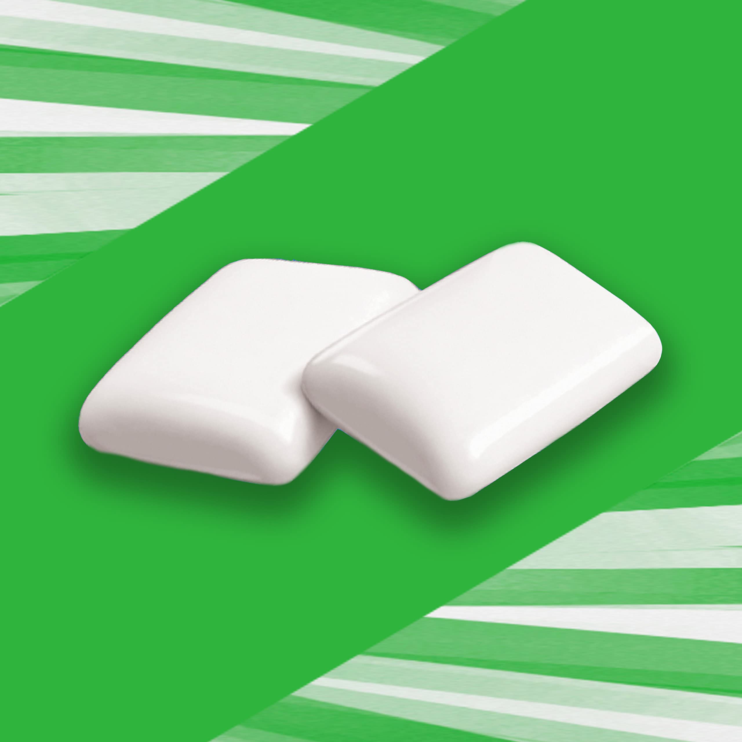 Trident bote abierto con piezas accesibles, conveniencia inmediata