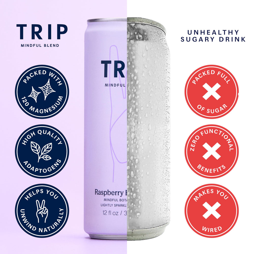 TRIP pack de 12 latas, presentación ideal para eventos y almacenamiento
