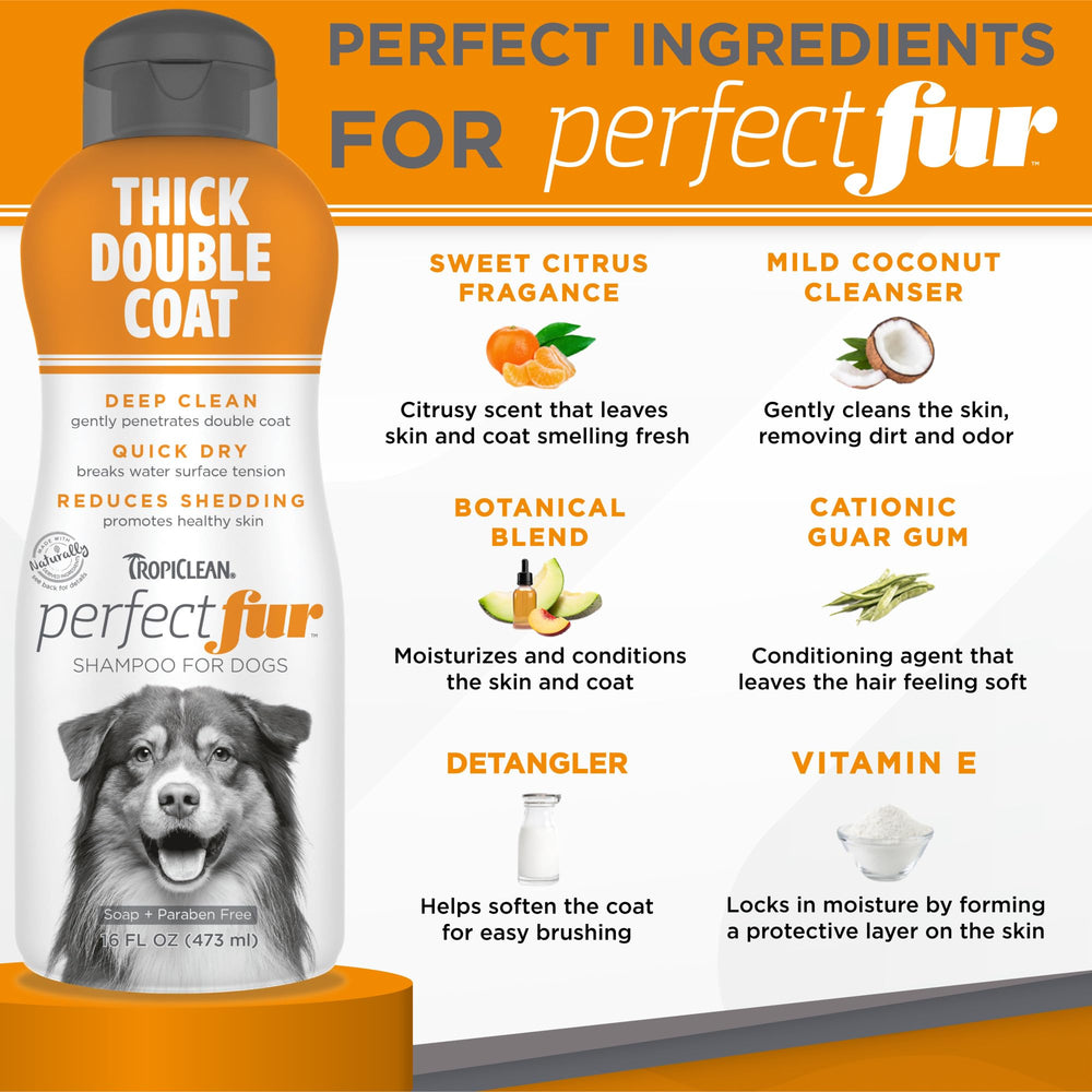TropiClean aplicando champú a perro con doble capa para limpieza eficaz