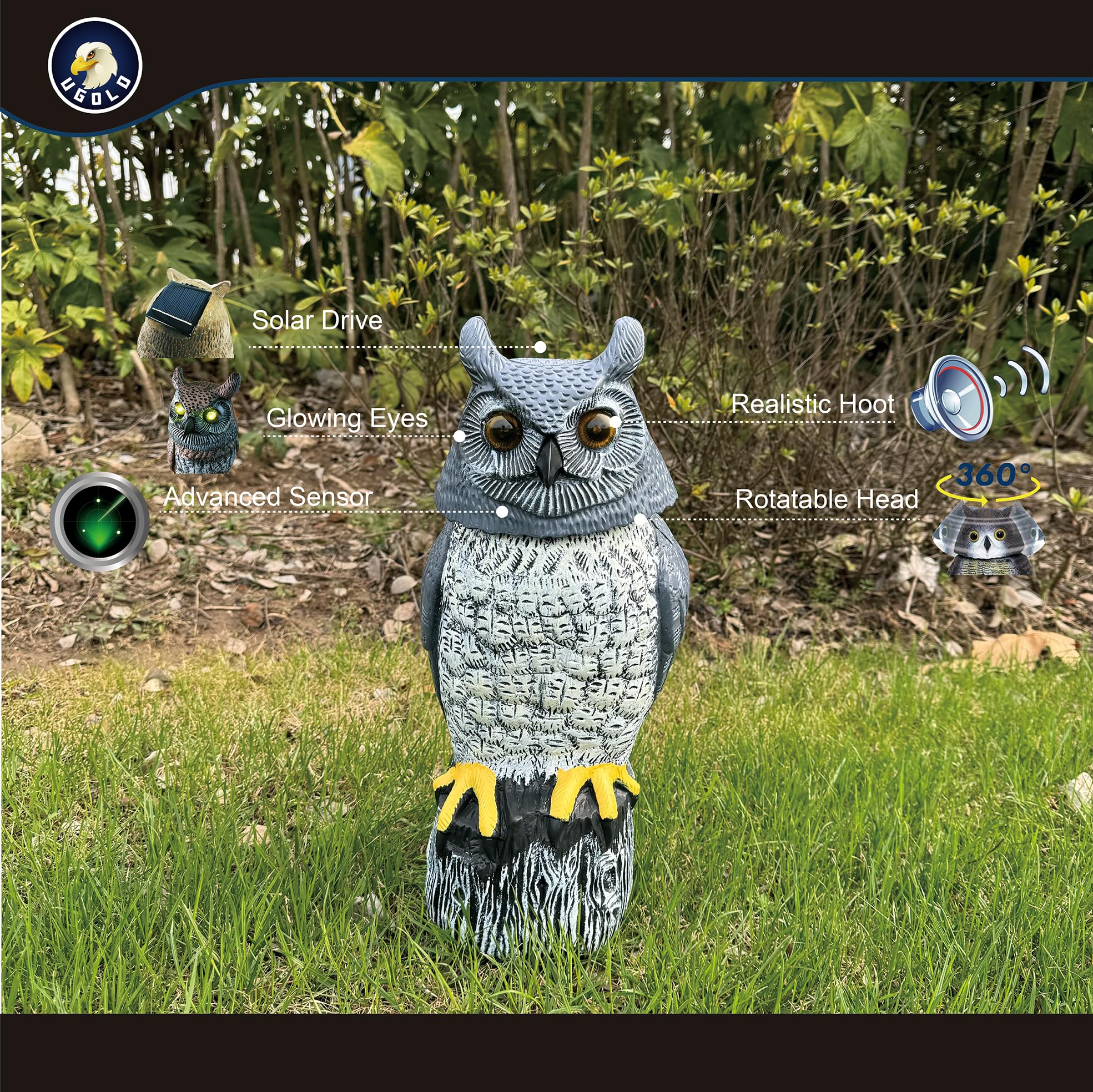 Ugold owl head rotated demonstrating motion detection and engagement