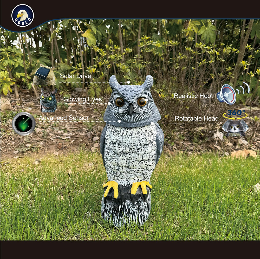 Ugold owl head rotated demonstrating motion detection and engagement