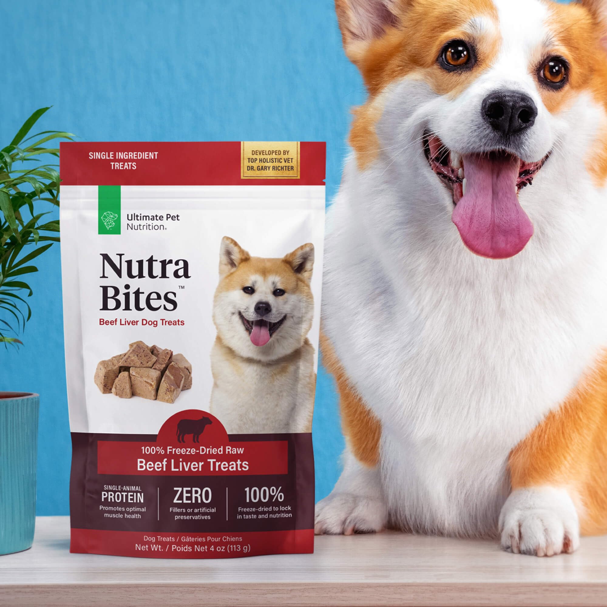ULTIMATE PET NUTRITION ambiente doméstico con perro feliz, uso cotidiano práctico