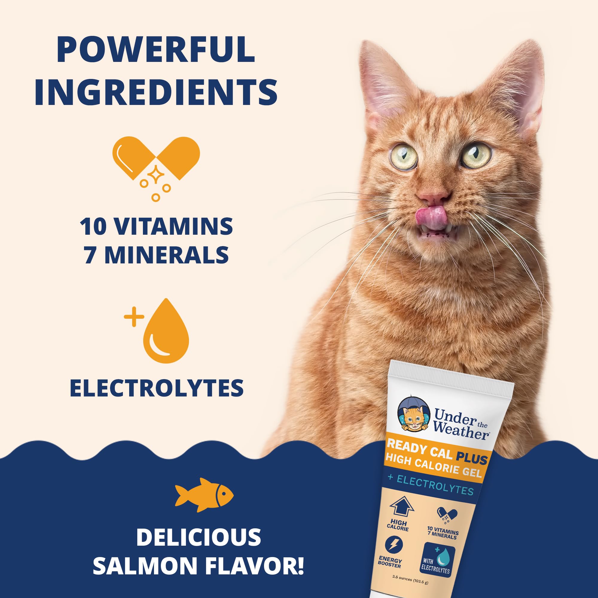 Under the Weather aplicación en labio de gato facilita ingestión rápida