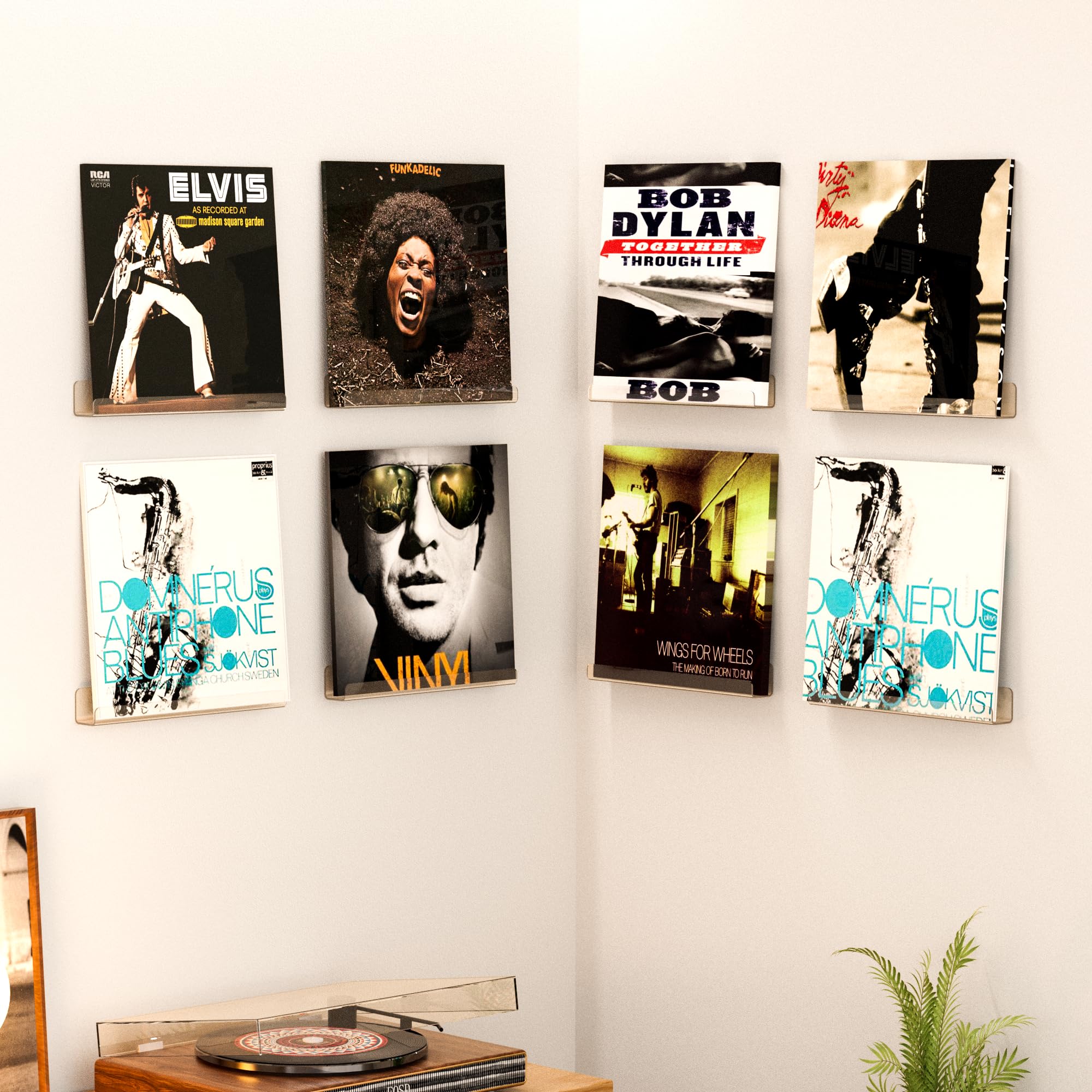 upsimples colección musical expuesta mostrando accesibilidad