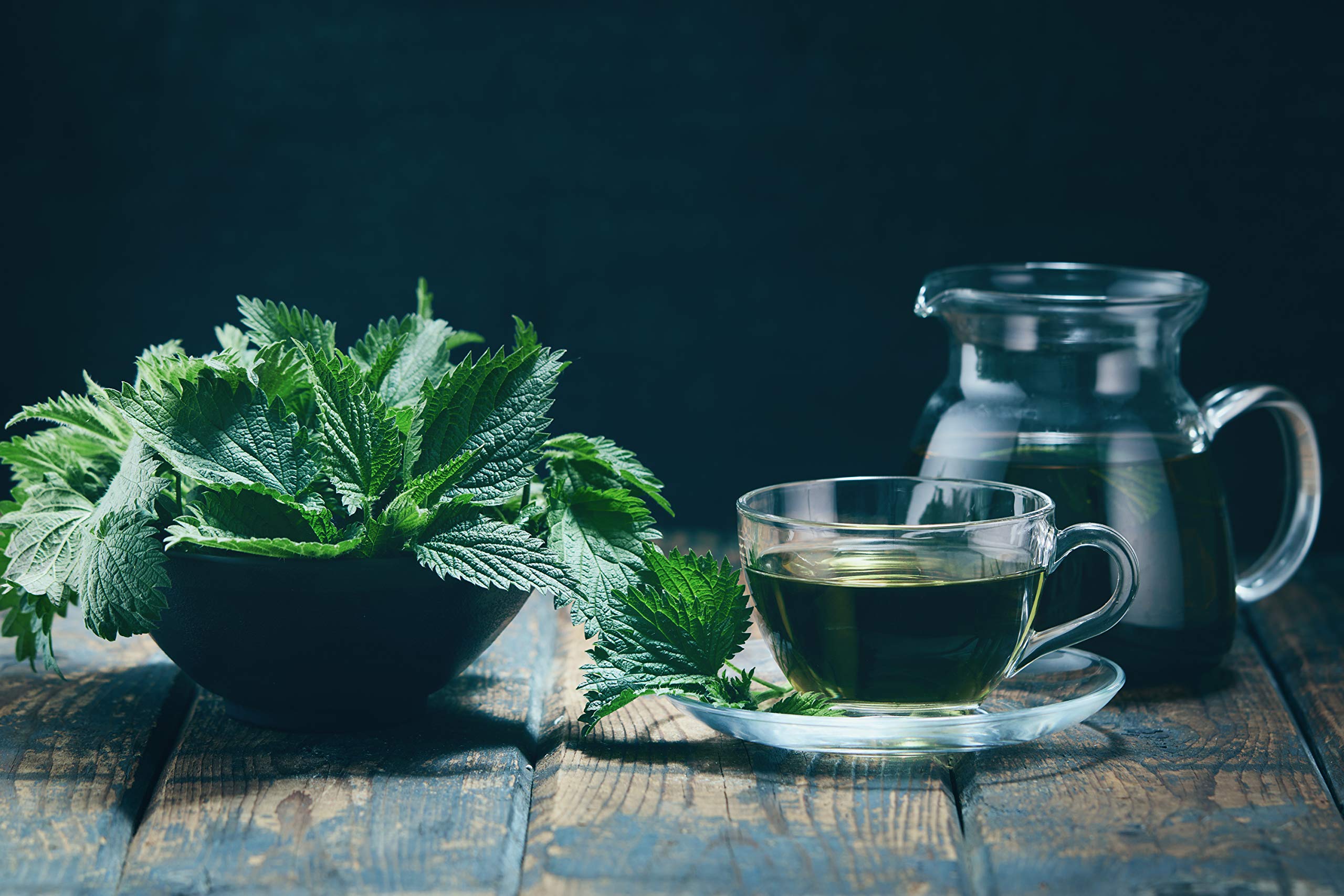 U.S. Wellness Naturals brote joven de ortiga que revela notas lechosas únicas