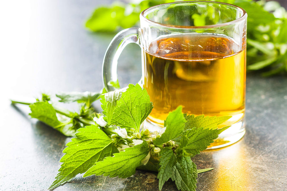 U.S. Wellness Naturals recolectoras en cooperativa, apoyo ético comunitario