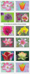 United States Postal Service cuadernillo abierto mostrando sellos florales, embellece correo