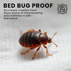 Utopia Bedding bolsillo de 12 pulgadas, ajuste profundo y estable