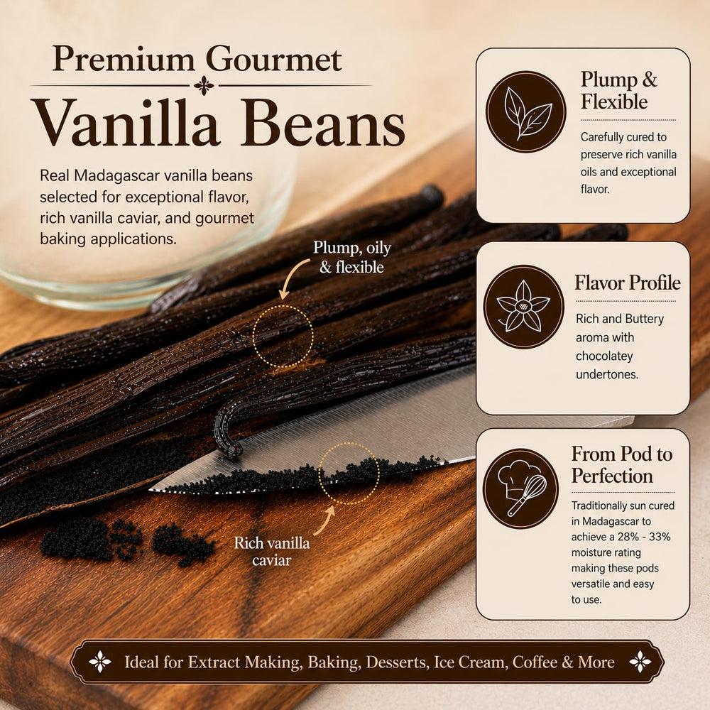 Vanilla Bean Kings primer plano de semillas y textura que mejora sabor