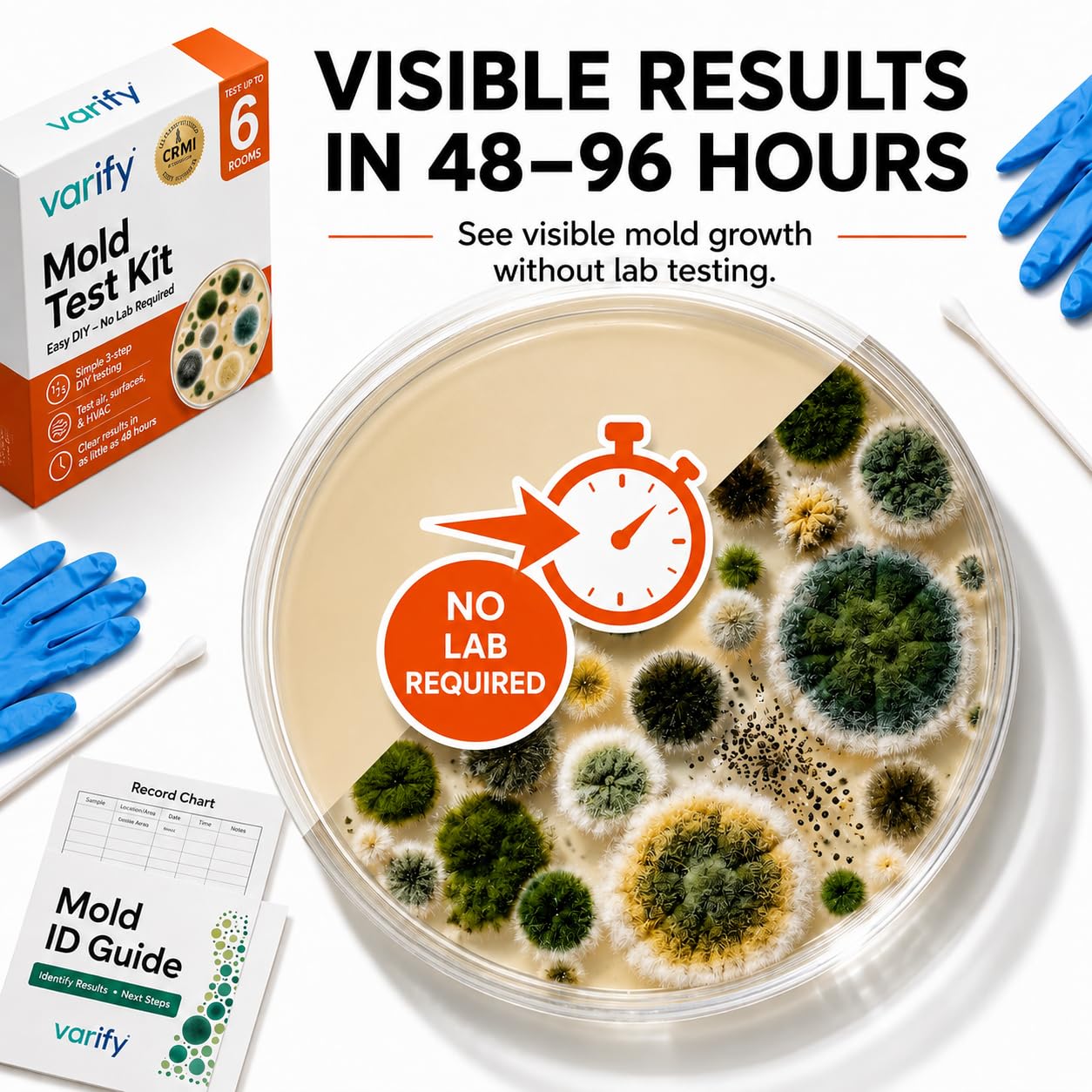 Varify detalle de placa petri con crecimiento visible para confirmar presencia
