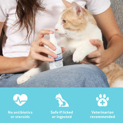 Vetericyn aplicación en un gato tranquilo para limpieza de una herida