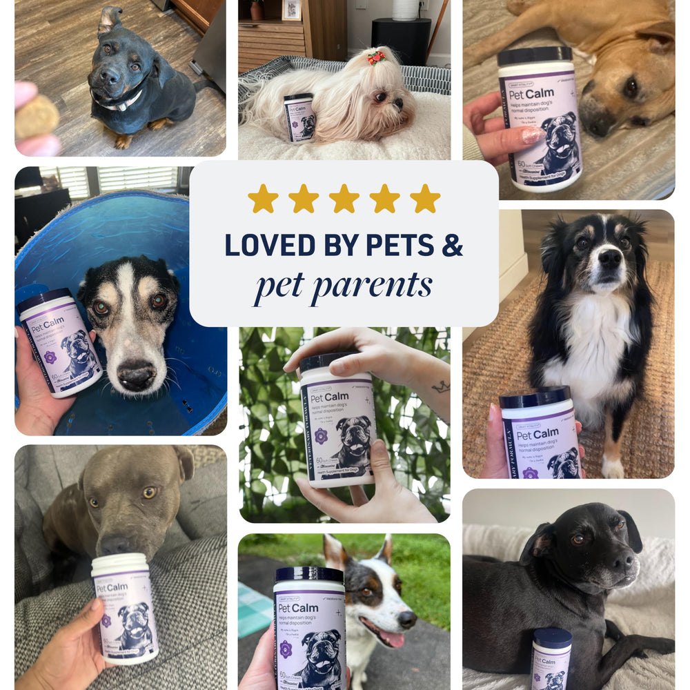 Veterinary Formula perro aceptando masticable, refuerzo positivo y calma