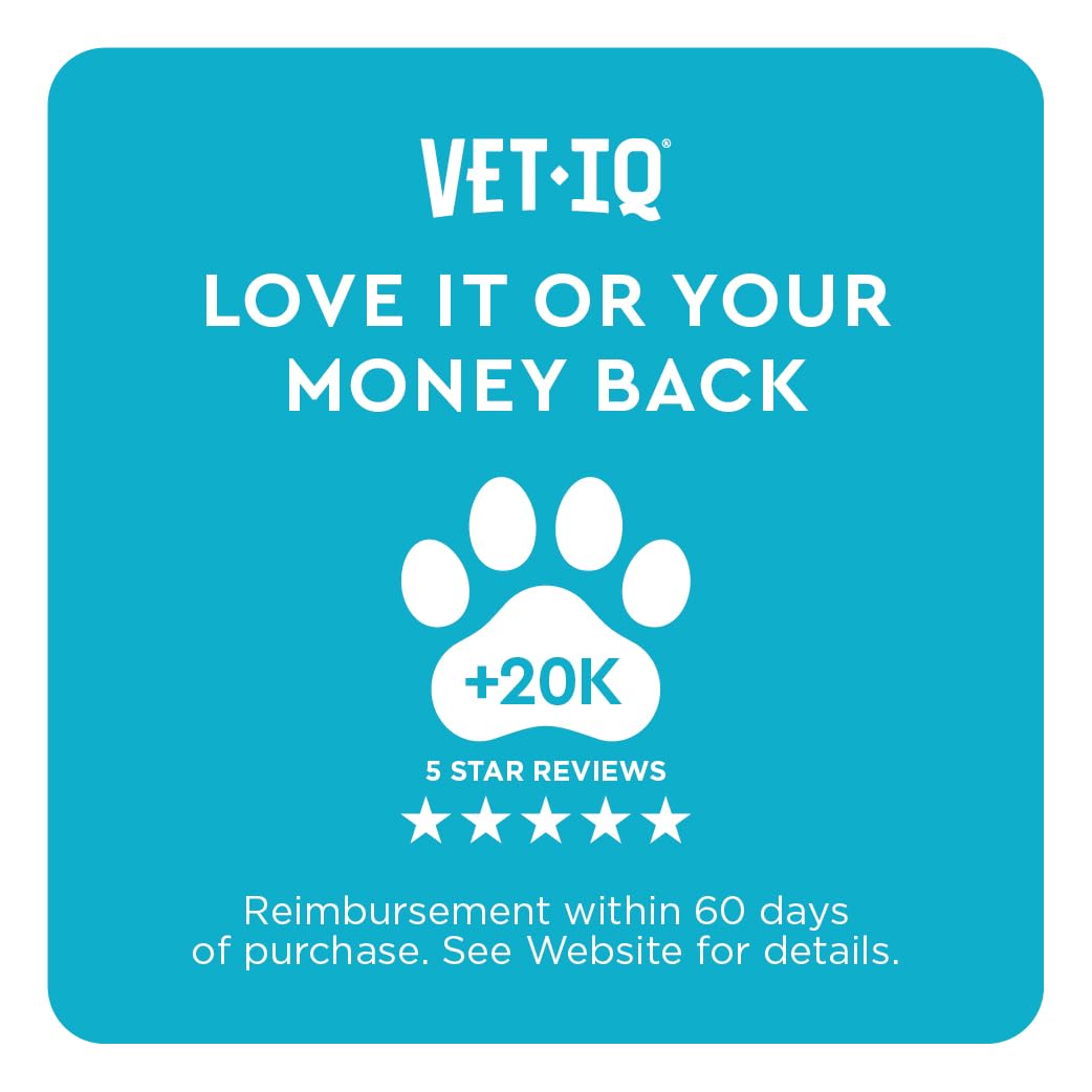 VetIQ producto en ambiente doméstico para perros relajados y cómodos