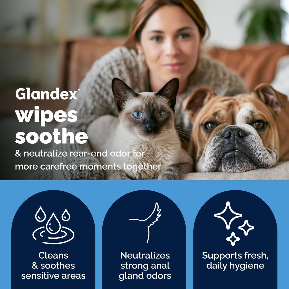 Vetnique Glandex en uso limpiando zona anal para higiene rápida