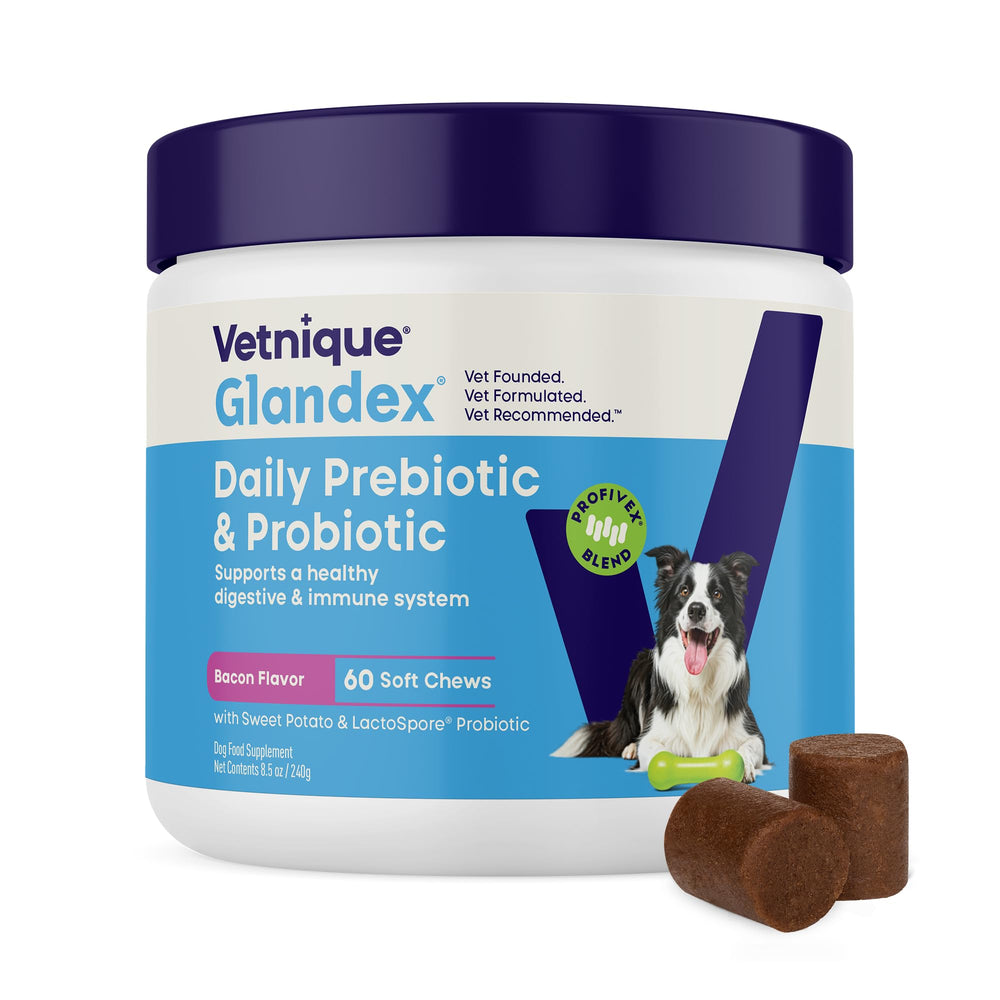 Vetnique Glandex empaque frontal que muestra el producto y ventaja de salud intestinal