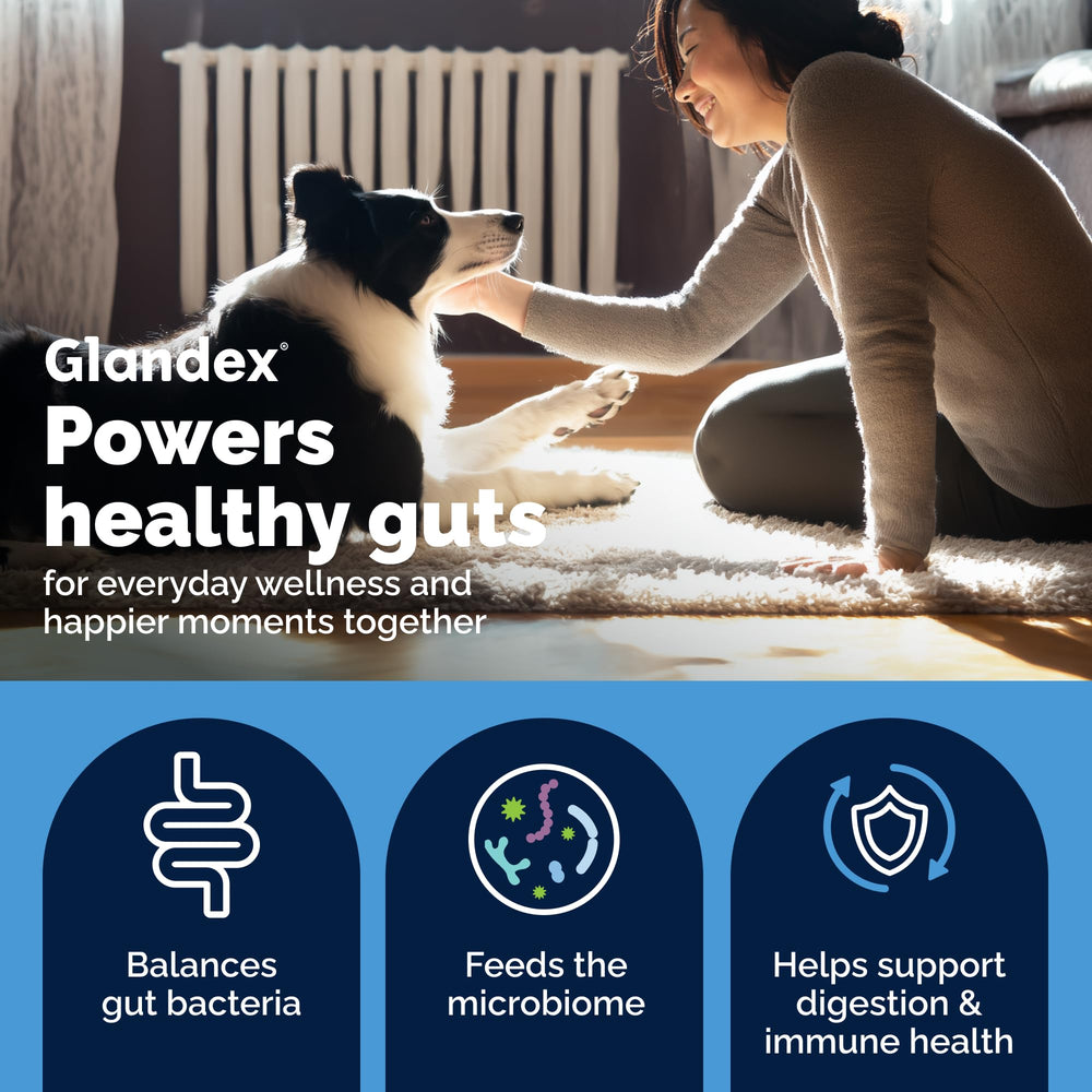 Vetnique Glandex masticable en mano demostrando administración fácil y sabor atractivo