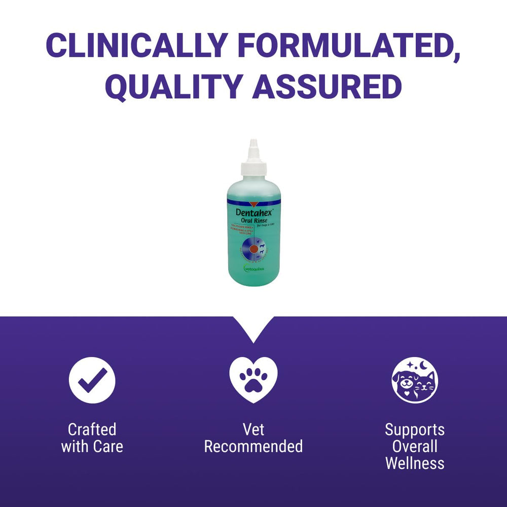 Applying Vetoquinol Dentahex to a cat's mouth illustrating gentle application and plaque support