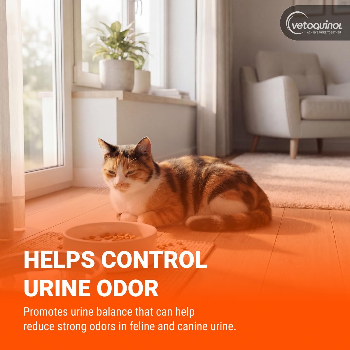 Vetoquinol aplicación en gato mezclado con alimento para aceptación