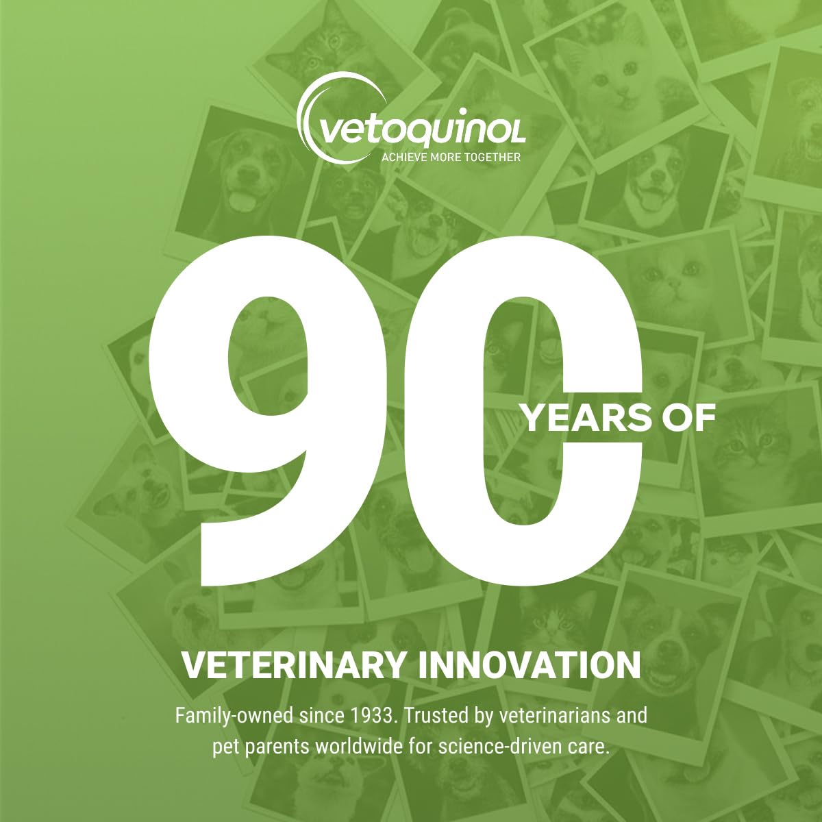 Vetoquinol Nutri-Cal mascota lamiendo el gel y aceptando suplementación