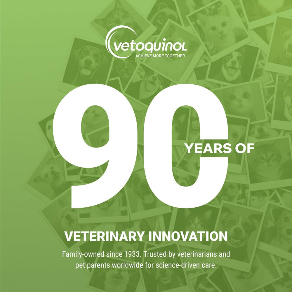 Vetoquinol Nutri-Cal mascota lamiendo el gel y aceptando suplementación