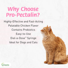 Vetoquinol Pro-Pectalin vista cercana de la pasta, textura apetecible y fácil de mezclar
